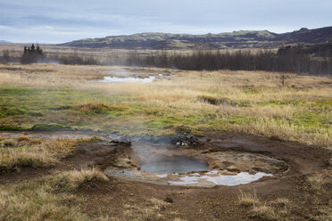 Iceand, Haukadalur valley, Geothermal site with hot spring, geyser - WIF03750