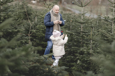 Father and daughter decorating Christmas tree on a plantation - KMKF00726