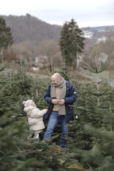 Father and daughter decorating Christmas tree on a plantation - KMKF00727