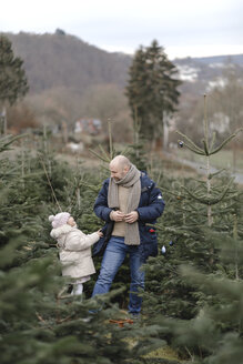 Vater und Tochter schmücken den Weihnachtsbaum auf einer Plantage - KMKF00727