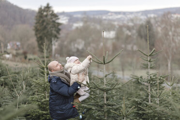 Father and daughter decorating Christmas tree on a plantation - KMKF00728