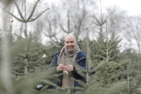 Porträt eines lächelnden Mannes beim Schmücken des Weihnachtsbaums auf einer Plantage - KMKF00730