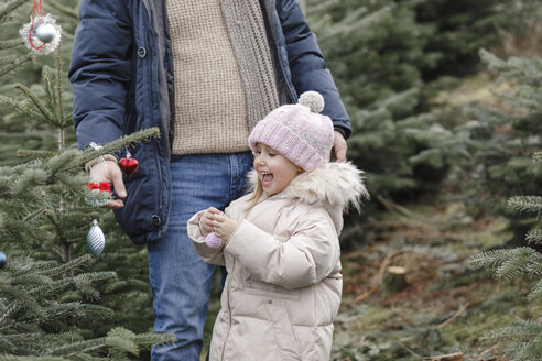 Glückliches Mädchen mit Vater beim Schmücken des Weihnachtsbaums auf einer Plantage - KMKF00734