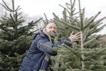 Lächelnder Mann umarmt Weihnachtsbaum auf einer Plantage - KMKF00741