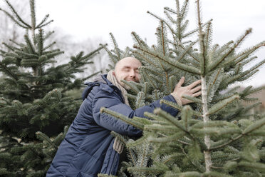 Smiling man hugging Christmas tree on a plantation - KMKF00741