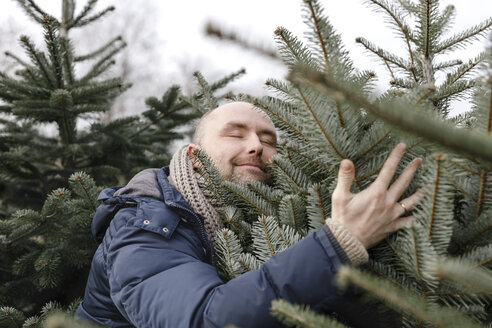 Smiling man hugging Christmas tree on a plantation - KMKF00742
