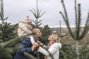 Couple with daughter kissing on a Christmas tree plantation - KMKF00746