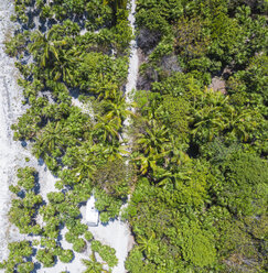 Mexiko, Yucatan, Quintana Roo, Tulum, Drohnenansicht von Strand mit Palmen - MMAF00780