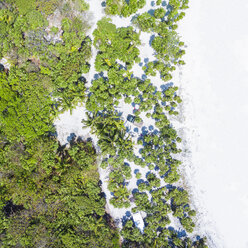 Mexiko, Yucatan, Quintana Roo, Tulum, Drohnenansicht von Strand mit Palmen - MMAF00781