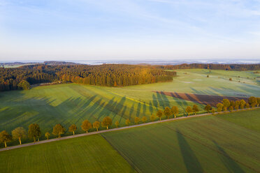 Germany, Bavaria, tree-lined country road near Dietramszell at sunrise, drone view - SIEF08348