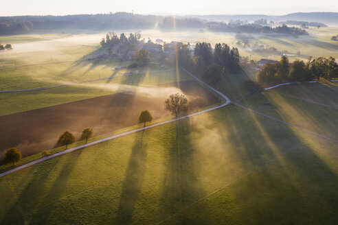 Deutschland, Bayern, Ried bei Dietramszell, Bodennebel bei Sonnenaufgang, Drohnenansicht - SIEF08350