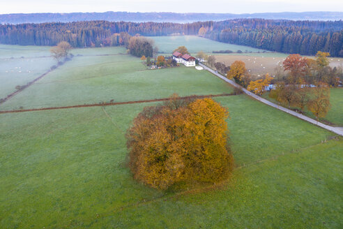 Deutschland, Bayern, Herbstmorgen in Schwaigwall bei Geretsried, Drohnenansicht - SIEF08355