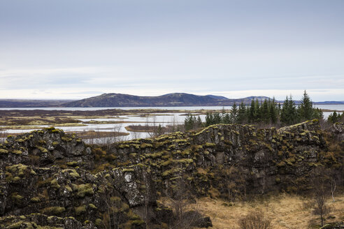 Island, Goldener Kreis, Thingvellir-Nationalpark - WIF03754