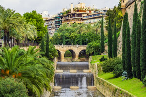 Spanien, Mallorca, Palma, Bäume und Gewässer in der Stadt - THAF02436