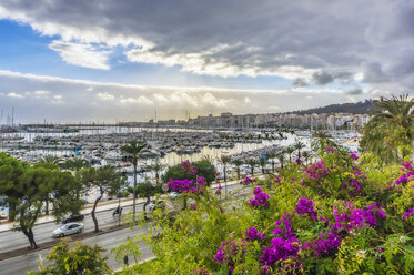 Spanien, Mallorca, Palma, Hafen und Küstenstraße - THAF02438