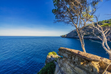 Spanien, Balearen, Mallorca, Küste bei Sa Foradada - THAF02460