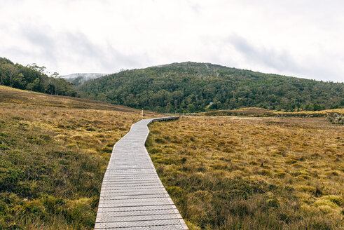 Australien, Tasmanien, Cradle Mountain-Lake St Clair National Park, Landschaft mit Promenade - KIJF02187