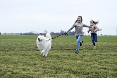Two girls running on a meadow with dog having fun - ECPF00261
