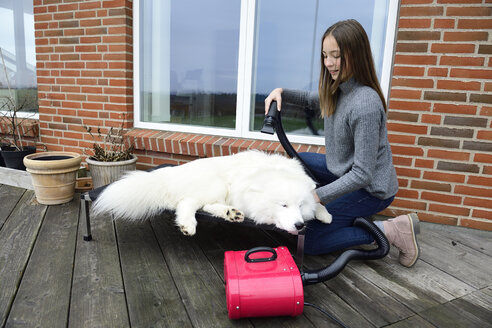 Mädchen föhnt weißen Hund auf Terrasse - ECPF00300