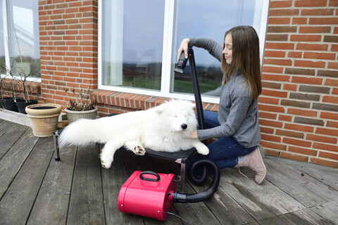 Mädchen föhnt weißen Hund auf Terrasse, lizenzfreies Stockfoto