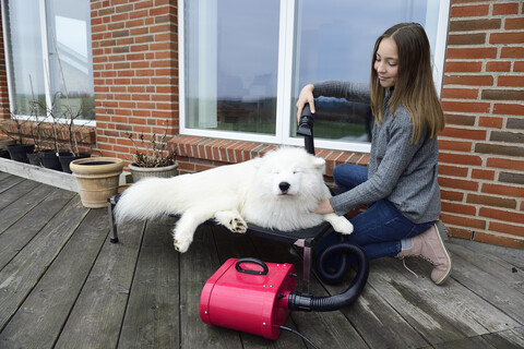 Mädchen föhnt weißen Hund auf Terrasse, lizenzfreies Stockfoto