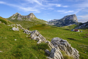 Montenegro, Durmitor-Nationalpark, Durmitor-Massiv, Sarban-Alm, Berge Sedlo und Boljska Greda - SIEF08373