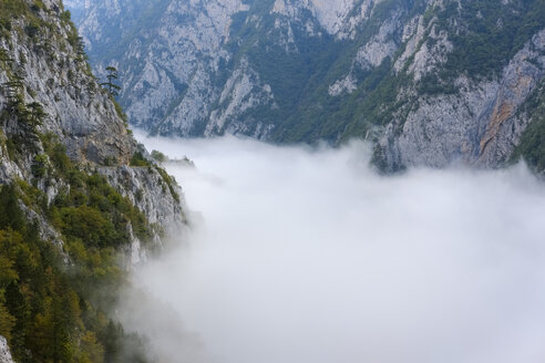 Montenegro, Provinz Pluzine, Nebel im Piva-Tal - SIEF08380