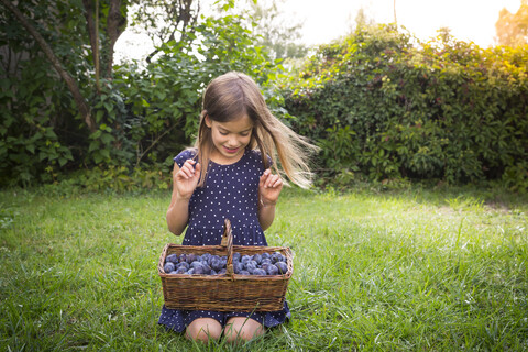 Lächelndes Mädchen hockt auf einer Wiese mit einem Weidenkorb voller Pflaumen, lizenzfreies Stockfoto