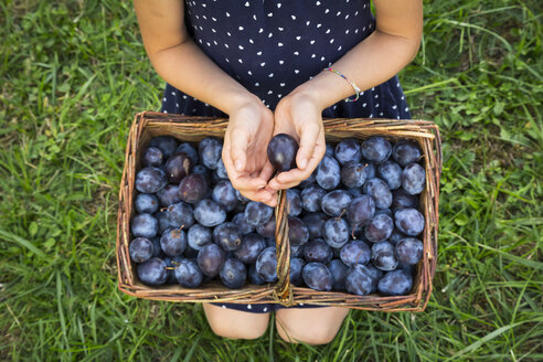 Girl crouching on a meadow with wickerbasket of plums, partial view - LVF07678