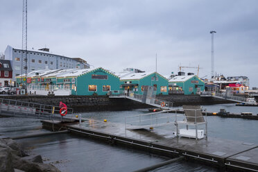 Island, Reykjavik, Alter Hafen - WIF03799