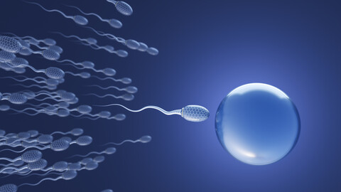 Futuristische Spermien auf dem Weg zur Eizelle, 3d-Rendering, lizenzfreies Stockfoto