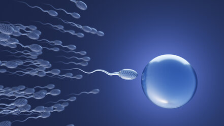 Futuristische Spermien auf dem Weg zur Eizelle, 3d-Rendering - AHUF00563