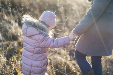 Back view of little girl hand in hand with her mother on autumnal meadow at Golden hour - PSIF00222