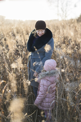 Kleines Mädchen steht Hand in Hand mit ihrer Mutter auf einer herbstlichen Wiese zur goldenen Stunde, lizenzfreies Stockfoto