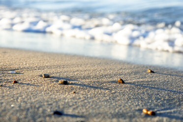 Pebbles on sandy beach at seafront in the evening - PUF01353