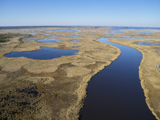 USA, Maryland, Cambridge, Blackwater National Wildlife Refuge, Blackwater River, Blackwater Refuge is experiencing sea level rise that is flooding this marsh - BCDF00374