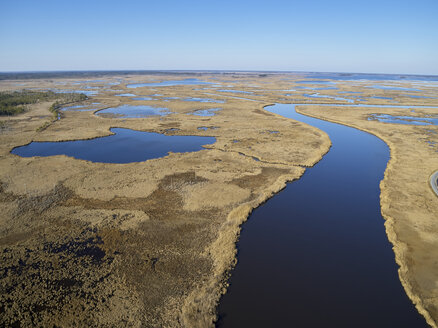 USA, Maryland, Cambridge, Blackwater National Wildlife Refuge, Blackwater River, Blackwater Refuge erlebt einen Anstieg des Meeresspiegels, der dieses Sumpfgebiet überflutet - BCDF00374