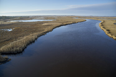 USA, Maryland, Cambridge, Blackwater National Wildlife Refuge, Blackwater River, Blackwater Refuge erlebt einen Anstieg des Meeresspiegels, der dieses Sumpfgebiet überflutet - BCDF00381