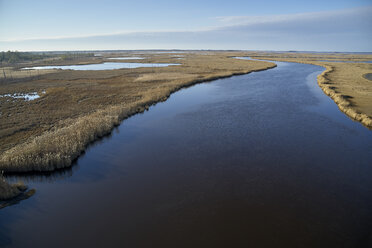 USA, Maryland, Cambridge, Blackwater National Wildlife Refuge, Blackwater River, Blackwater Refuge is experiencing sea level rise that is flooding this marsh - BCDF00381