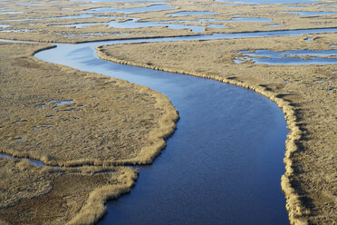 USA, Maryland, Cambridge, Blackwater National Wildlife Refuge, Blackwater River, Blackwater Refuge erlebt einen Anstieg des Meeresspiegels, der dieses Sumpfgebiet überflutet - BCDF00382