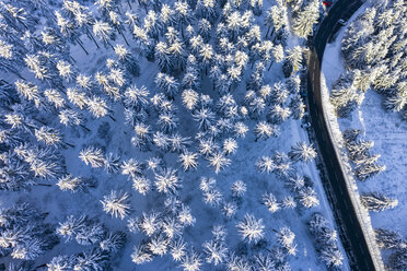 Germany, Hesse, Taunus, Aerial view of road through coniferous forest in winter - AMF06729