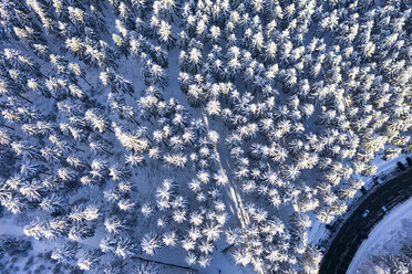 Germany, Hesse, Taunus, Aerial view of road through coniferous forest in winter - AMF06730