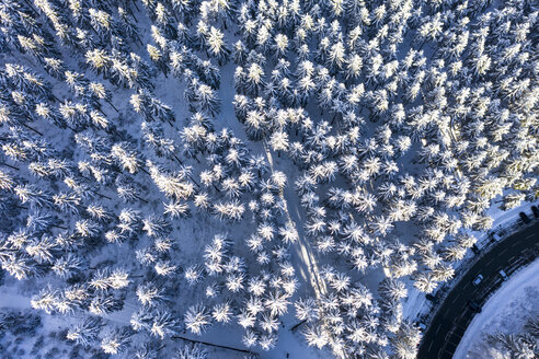 Deutschland, Hessen, Taunus, Luftaufnahme einer Straße durch Nadelwald im Winter - AMF06730