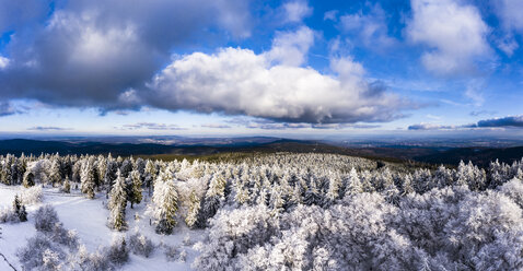 Deutschland, Hessen, Taunus, Luftaufnahme einer Straße durch Nadelwald im Winter - AMF06733