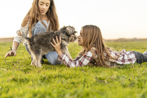 Zwei Mädchen spielen mit Hund auf einer Wiese, lizenzfreies Stockfoto