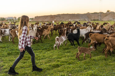 Girl herding a goat herd - ERRF00700