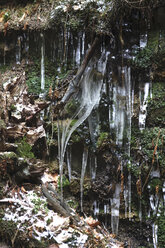 Germany, Saxony, Elbe Sandstone Mountains, Bastei area in winter, close-up of icicles - JTF01179