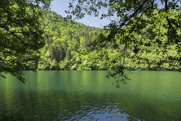 Italy, Trentino Alto-Adige, Lago di Levico on a sunny spring day - FLMF00109