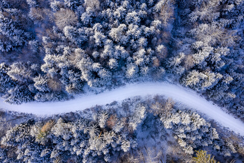 Germany, Baden-Wuerttemberg, Rems-Murr-Kreis, Swabian forest, Aerial view of forest in winter stock photo