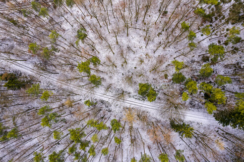 Deutschland, Baden-Württemberg, Rems-Murr-Kreis, Schwäbischer Wald, Luftaufnahme eines Waldes im Winter - STSF01832